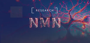 NMN-Studie: Eine wirksame Lösung für Entzündungen in menschlichen Zellen